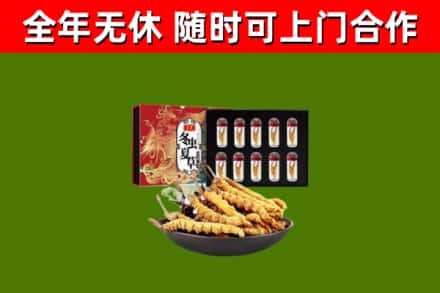 台江县回收冬虫夏草价格