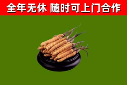 台江县烟酒回收冬虫夏草.jpg